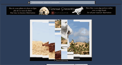 Desktop Screenshot of canisreporting.com